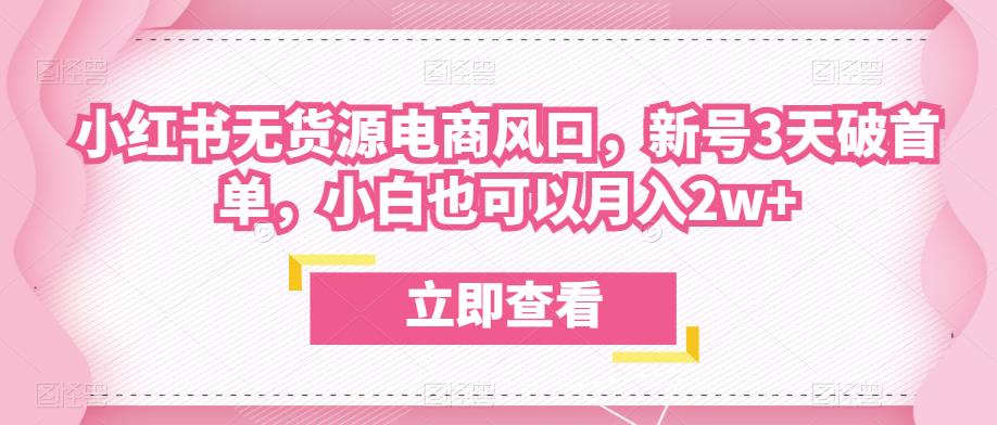 众狼电商余文小红书无货源电商风口，新号3天破首单，小白也可以月入2w+-小伟资源网