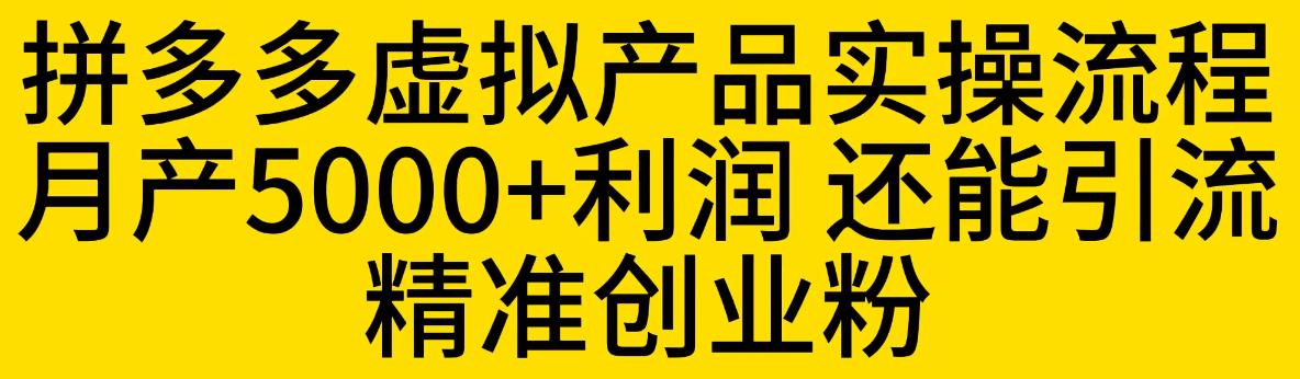 拼多多虚拟产品实操流程，月产5000+利润，还能引流精准创业粉【揭秘】-小伟资源网