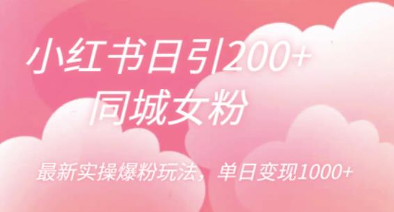 小红书日引200+同城女粉，最新实操爆粉玩法，单日变现1000+【揭秘】-小伟资源网