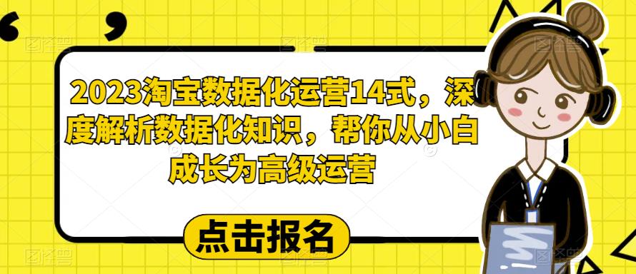 2023淘宝数据化运营14式，深度解析数据化知识，帮你从小白成长为高级运营-小伟资源网