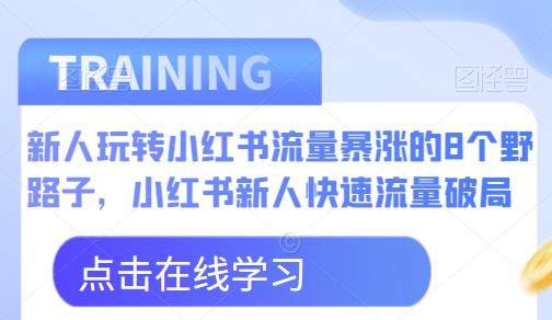 新人玩转小红书流量暴涨的8个野路子，小红书新人快速流量破局-小伟资源网