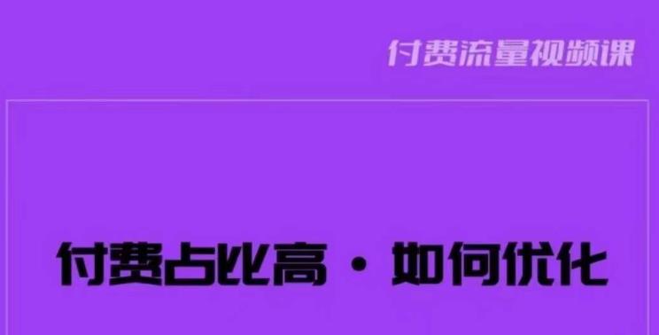 波波-付费占比高，如何优化？只讲方法，不说废话，高效解决问题！-小伟资源网