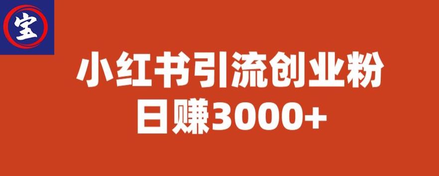 宝哥小红书引流创业粉，日赚3000+【揭秘】-小伟资源网