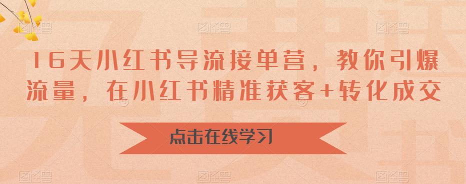 16天小红书导流接单营，教你引爆流量，在小红书精准获客+转化成交-小伟资源网