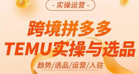 伍跃·跨境拼多多TEMU实操与选品，​趋势/选品/运营/入住（27节完整）-小伟资源网