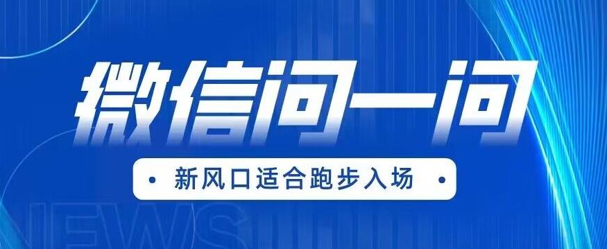 全网首发微信问一问新风口变现项目（价值1999元）【揭秘】-小伟资源网