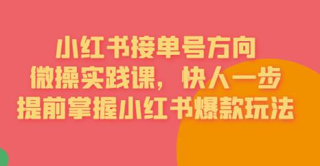 接单号方向·小红书微操实践课，快人一步，提前掌握小红书爆款玩法-小伟资源网