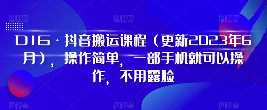 D1G·抖音搬运课程（更新2023年7月），操作简单，一部手机就可以操作，不用露脸-小伟资源网