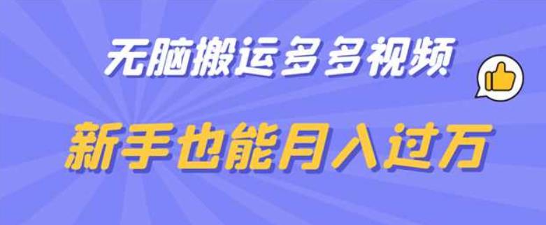 无脑搬运多多视频，新手也能月入过万【揭秘】-小伟资源网