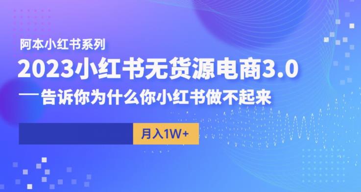 阿本小红书无货源电商3.0，告诉你为什么你小红书做不起来-小伟资源网