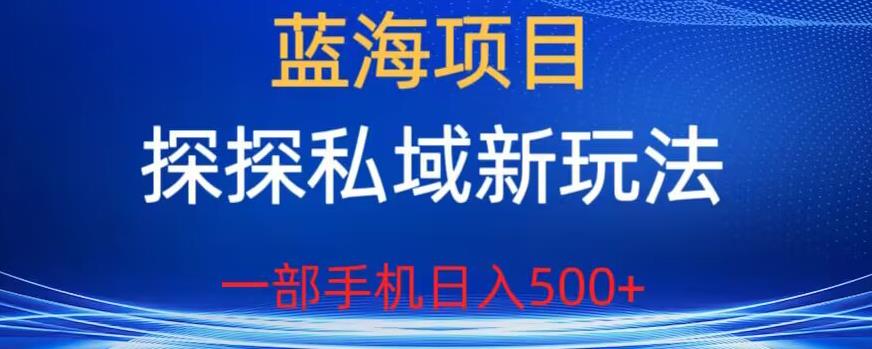 蓝海项目，探探私域新玩法，一部手机日入500+很轻松【揭秘】-小伟资源网