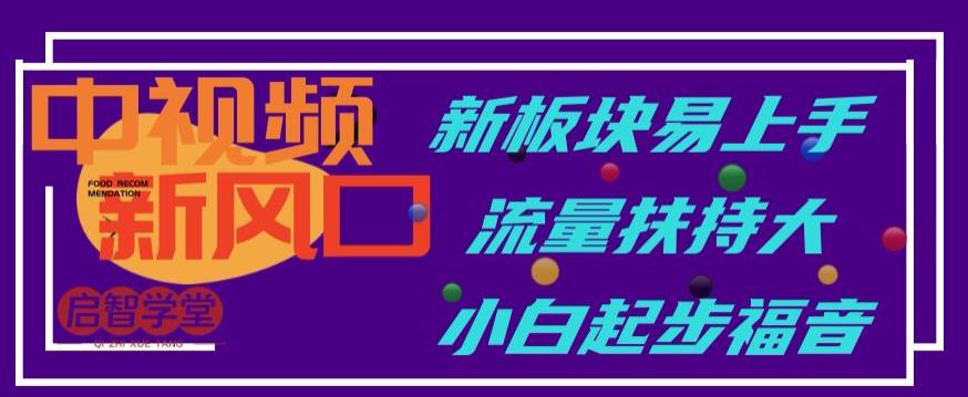 中视频新风口，新板块易上手，流量扶持大，小白起步福音【揭秘】-小伟资源网