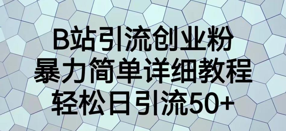 B站引流创业粉，暴力简单详细教程，轻松日引流50+【揭秘】-小伟资源网