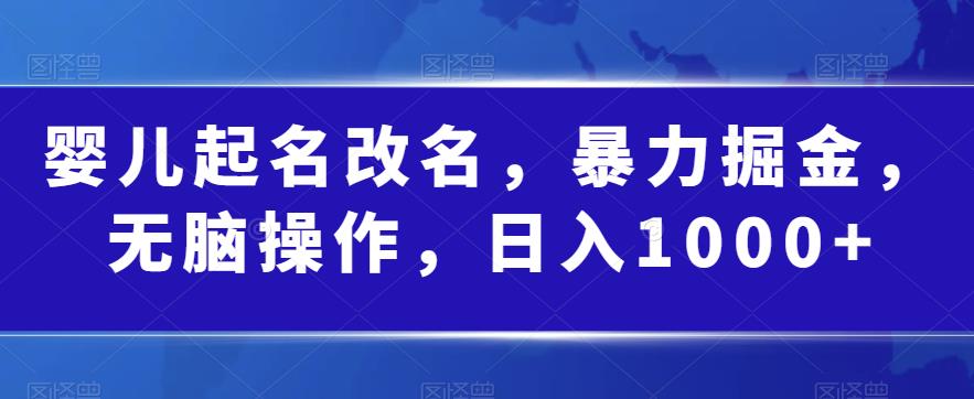 婴儿起名改名，暴力掘金，无脑操作，日入1000+【揭秘】-小伟资源网