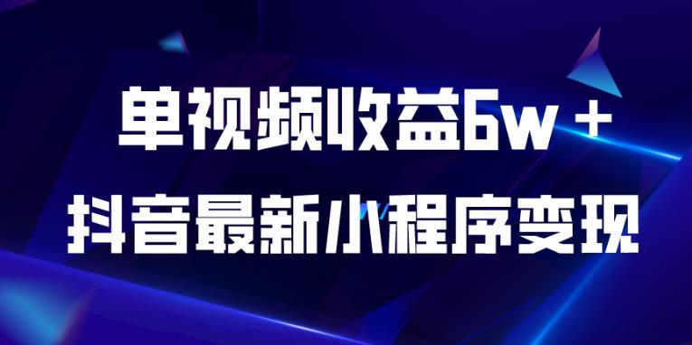 抖音最新小程序变现项目，单视频收益6w＋，小白可做【揭秘】-小伟资源网