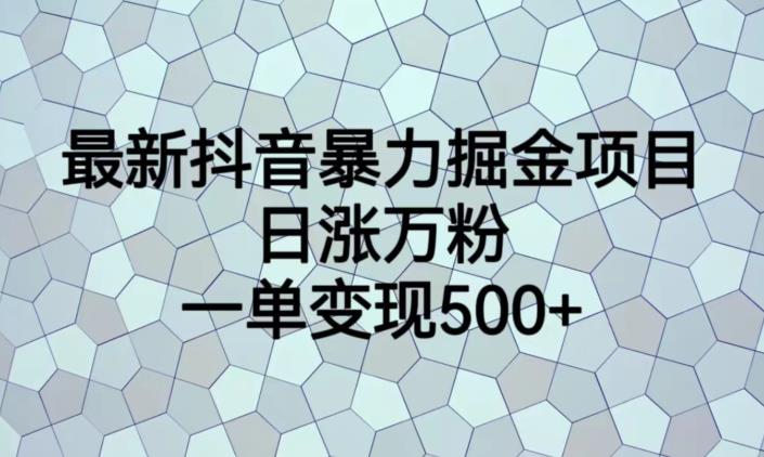 最新抖音暴力掘金项目，日涨万粉，一单变现500+【揭秘】-小伟资源网