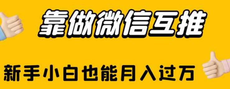 靠做微信互推，新手小白也能月入过万【揭秘】-小伟资源网