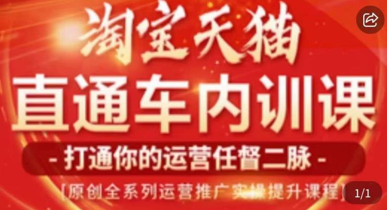 天问电商·2023淘宝天猫直通车内训课，零基础学起直通车运营实操课程-小伟资源网