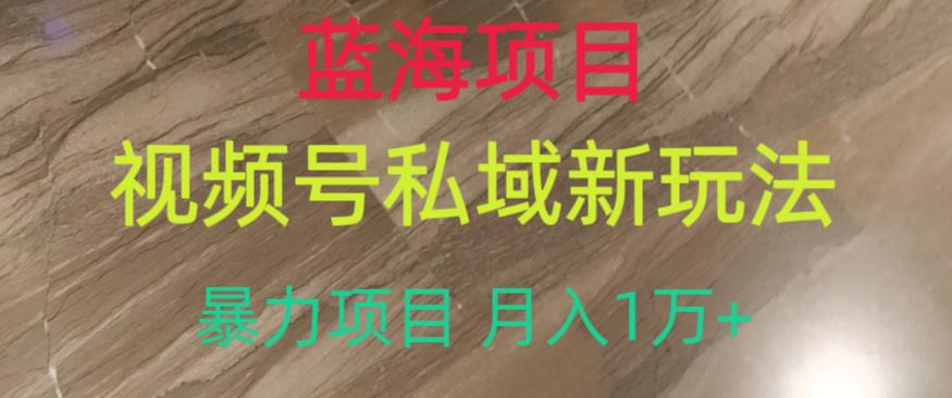 蓝海项目，视频号私域新玩法，暴力项目月入1万+【揭秘】-小伟资源网