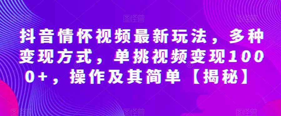 抖音情怀视频最新玩法，多种变现方式，单挑视频变现1000+，操作及其简单【揭秘】-小伟资源网