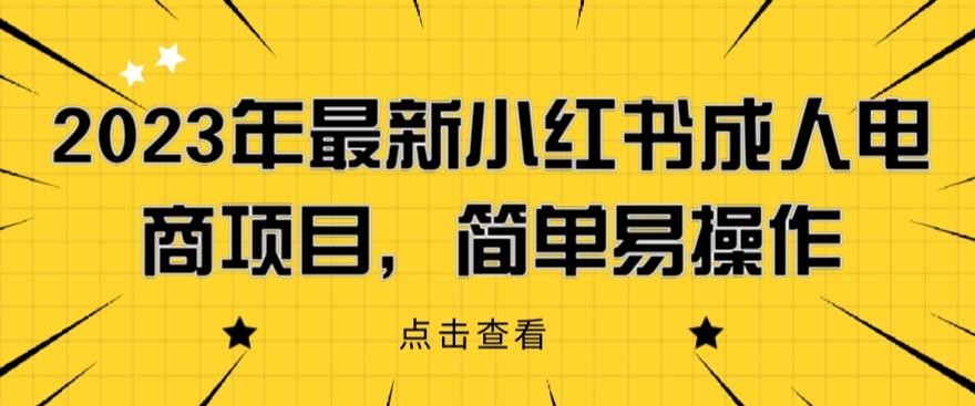 2023年最新小红书成人电商项目，简单易操作【详细教程】【揭秘】-小伟资源网