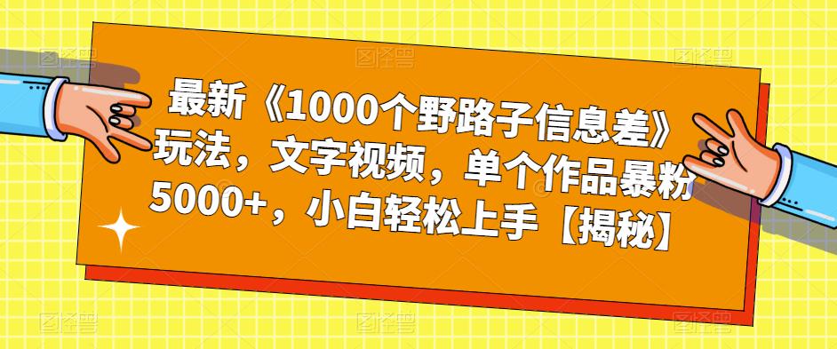 最新《1000个野路子信息差》玩法，文字视频，单个作品暴粉5000+，小白轻松上手【揭秘】-小伟资源网