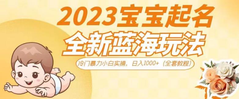 2023宝宝起名全新蓝海玩法，冷门暴力小白实操，日入1000+（全套教程）【揭秘】-小伟资源网