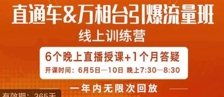 直通车&万相台引爆流量班，6天打通你开直通车·万相台的任督二脉-小伟资源网