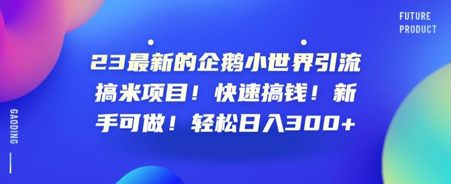 23最新的企鹅小世界引流搞米项目！快速搞钱！新手可做！轻松日入300+【揭秘】-小伟资源网