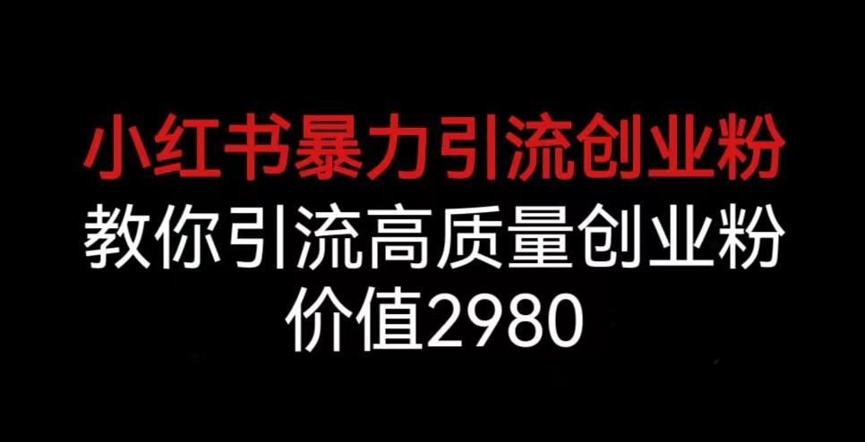 小红书暴力引流创业粉，教你引流高质量创业粉，价值2980【揭秘】-小伟资源网