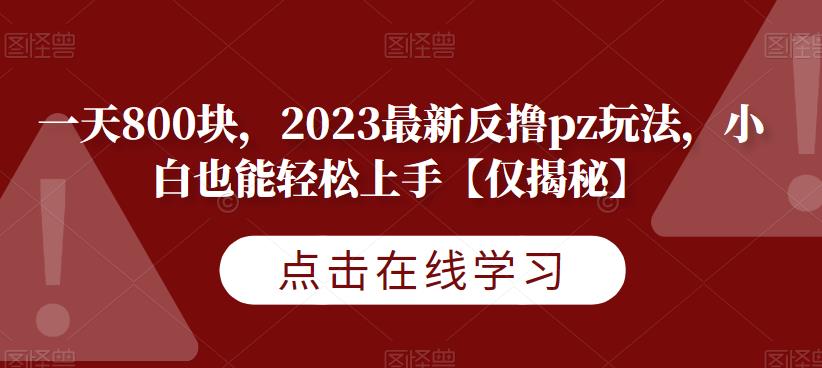 一天800块，2023最新反撸pz玩法，小白也能轻松上手【仅揭秘】-小伟资源网