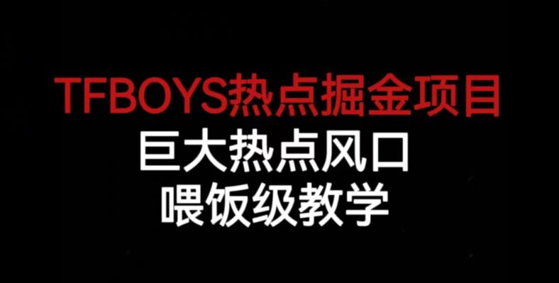 TFBOYS热点掘金项目，巨大热点风口，喂饭级教学-小伟资源网