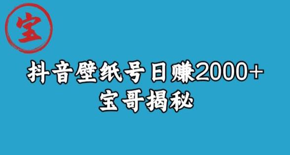 宝哥抖音壁纸号日赚2000+，不需要真人露脸就能操作【揭秘】-小伟资源网