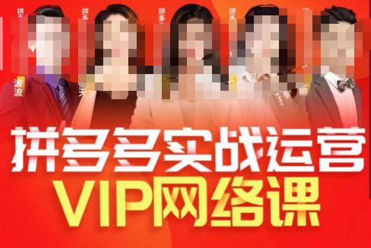 推易拼多多VIP全套直播课程，拼多多店铺实操玩法+实战玩法选款内功+直通车高阶等-小伟资源网