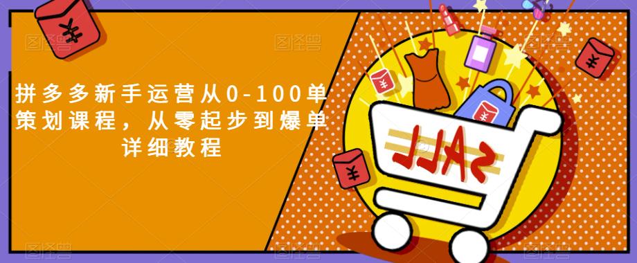 拼多多新手运营从0-100单策划课程，从零起步到爆单详细教程-小伟资源网