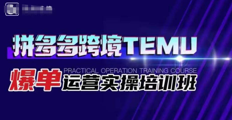 拼多多跨境TEMU爆单运营实操培训班，海外拼多多的选品、运营、爆单-小伟资源网