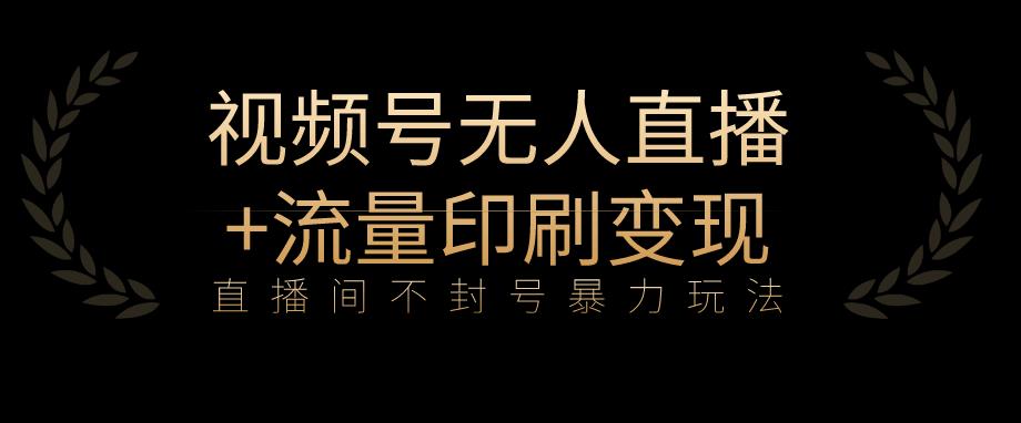 全网首发视频号不封号无人直播暴利玩法+流量印刷机变现，日入1000+【揭秘】-小伟资源网