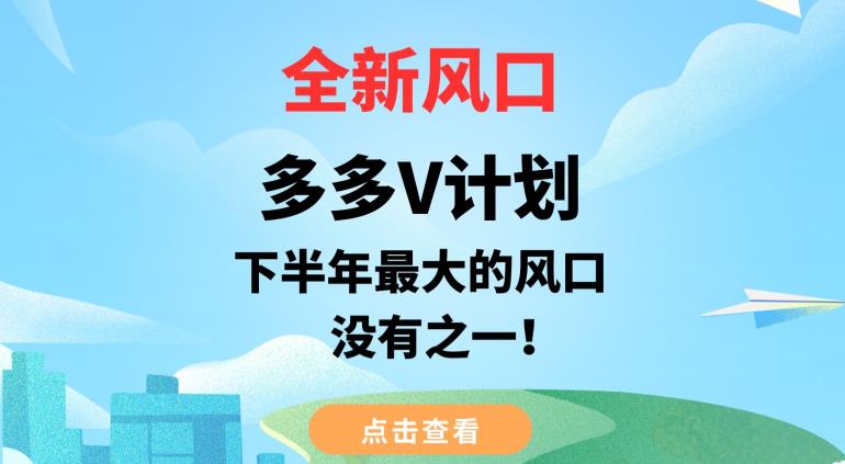 全新风口，多多V计划，下半年最大的风口项目，没有之一【揭秘】-小伟资源网