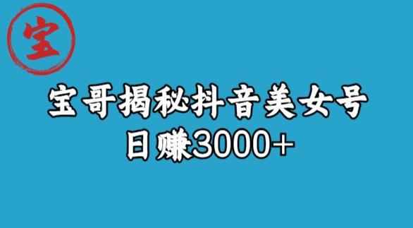 宝哥揭秘抖音美女号玩法，日赚3000+【揭秘】-小伟资源网