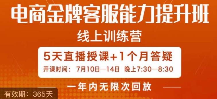 电商金牌客服能力提升班，提升客服能力是你店铺业绩的关键要素-小伟资源网