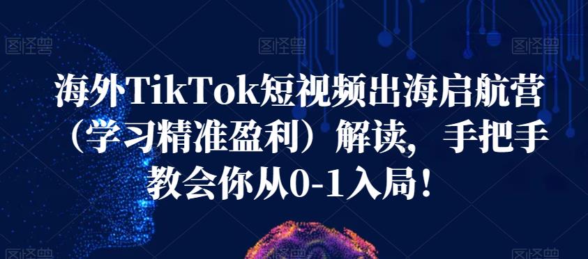 海外TikTok短视频出海启航营（学习精准盈利）解读，手把手教会你从0-1入局！-小伟资源网