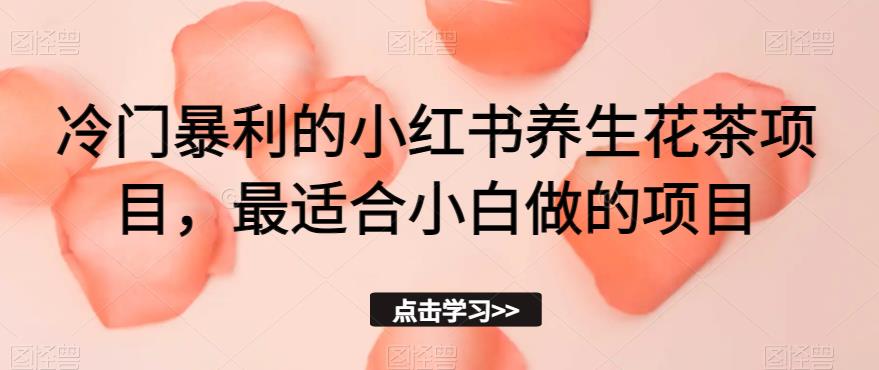 冷门暴利的小红书养生花茶项目，最适合小白做的项目【揭秘】-小伟资源网