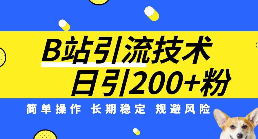 B站引流技术：每天引流200精准粉，简单操作，长期稳定，规避风险-小伟资源网