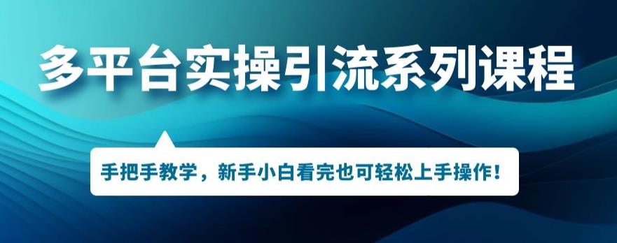 多平台引流实操系列课程，新手小白看完也可轻松上手进行引流操作-小伟资源网