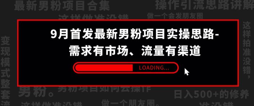 9月首发最新男粉项目实操思路-需求有市场，流量有渠道【揭秘】-小伟资源网