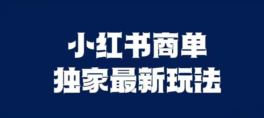 小红书商单最新独家玩法，剪辑时间短，剪辑难度低，能批量做号【揭秘】-小伟资源网