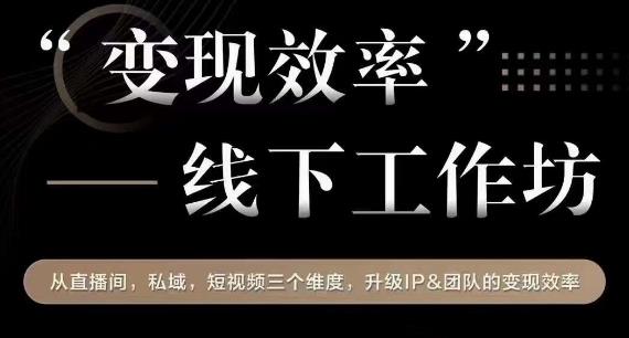 变现效率线下工作坊，从‮播直‬间、私域、‮视短‬频‮个三‬维度，升级IP和团队变现效率-小伟资源网