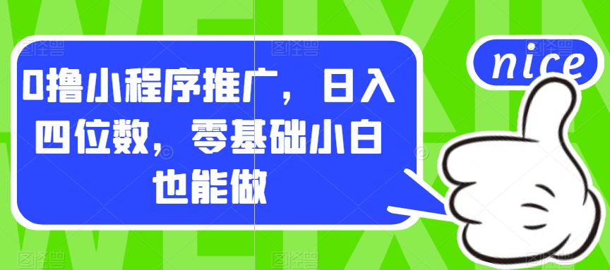 0撸小程序推广，日入四位数，零基础小白也能做【揭秘】-小伟资源网