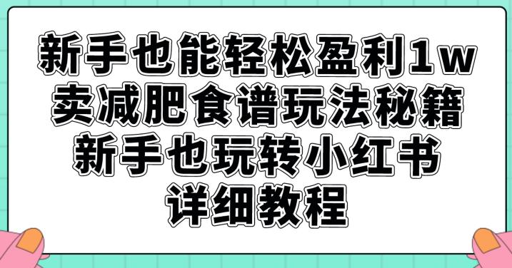 新手也能轻松盈利1w，卖减肥食谱玩法秘籍，新手也玩转小红书详细教程【揭秘】-小伟资源网