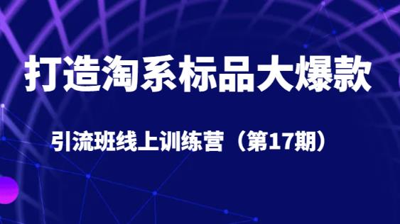 打造淘系标品大爆款引流班线上训练营（第17期）5天直播授课-小伟资源网